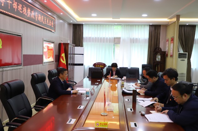 公司处级党员领导干部巡视整改专题民主生活会召开